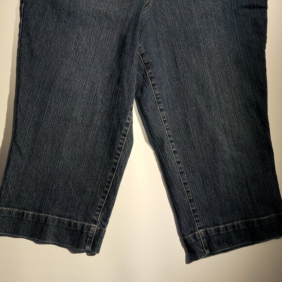 Lane Bryant Capri Denim  sz 16 Jeans  Stretch waist  Tummy Panel  2 button waist - Picture 3 of 11
